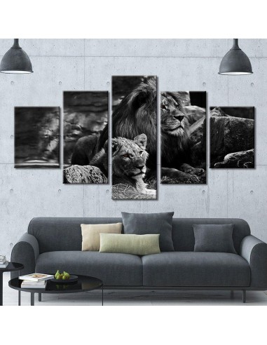 Tableau Couple de lions shop